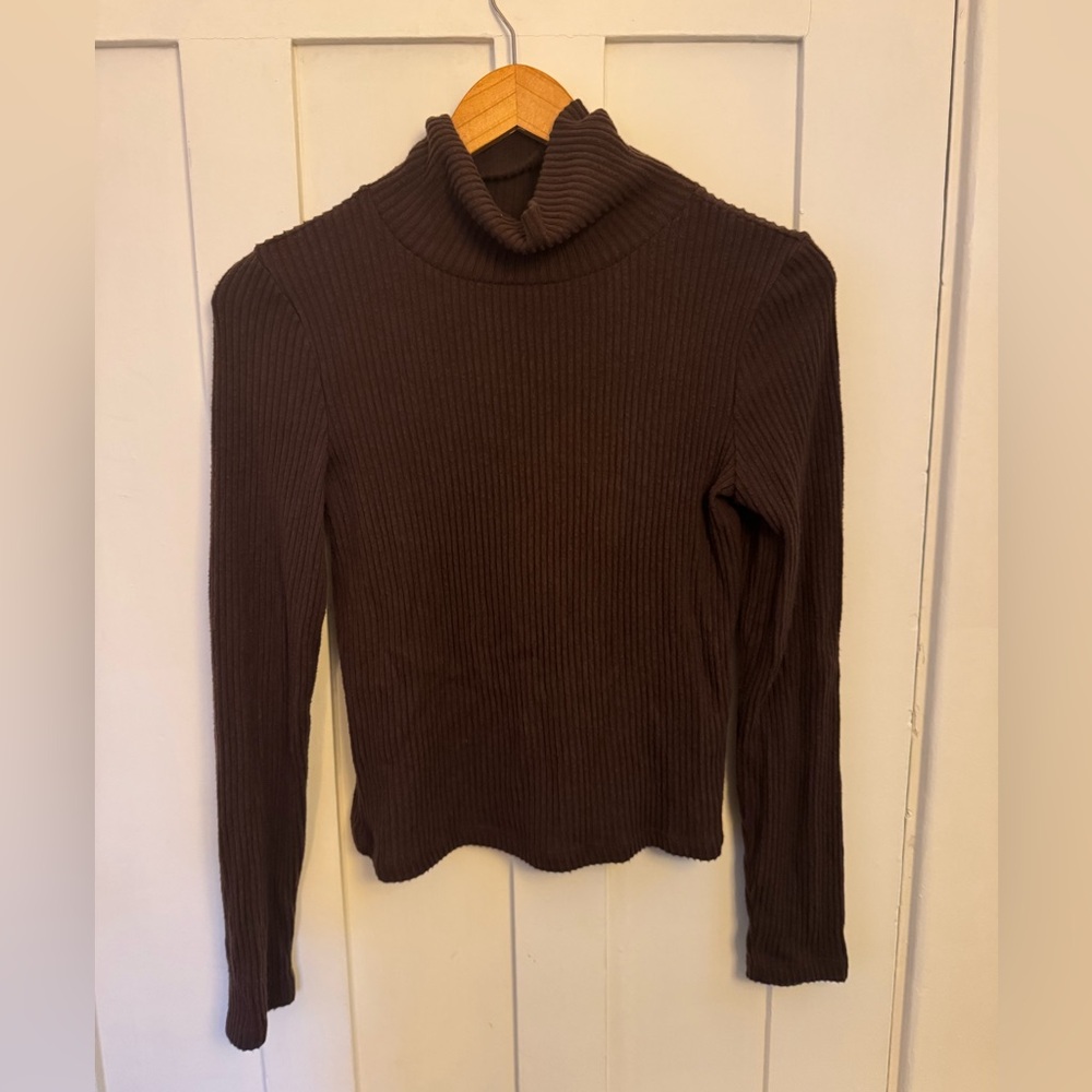 Aritzia Brown Turtleneck Sweater